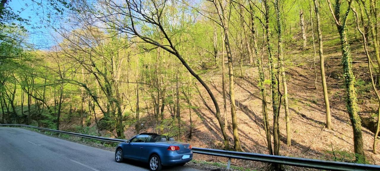 Hos-Cegledi Vendeghaz Miskolc -Oenallo Otthon, Mely Csak Az Oenoeke Zewnętrze zdjęcie