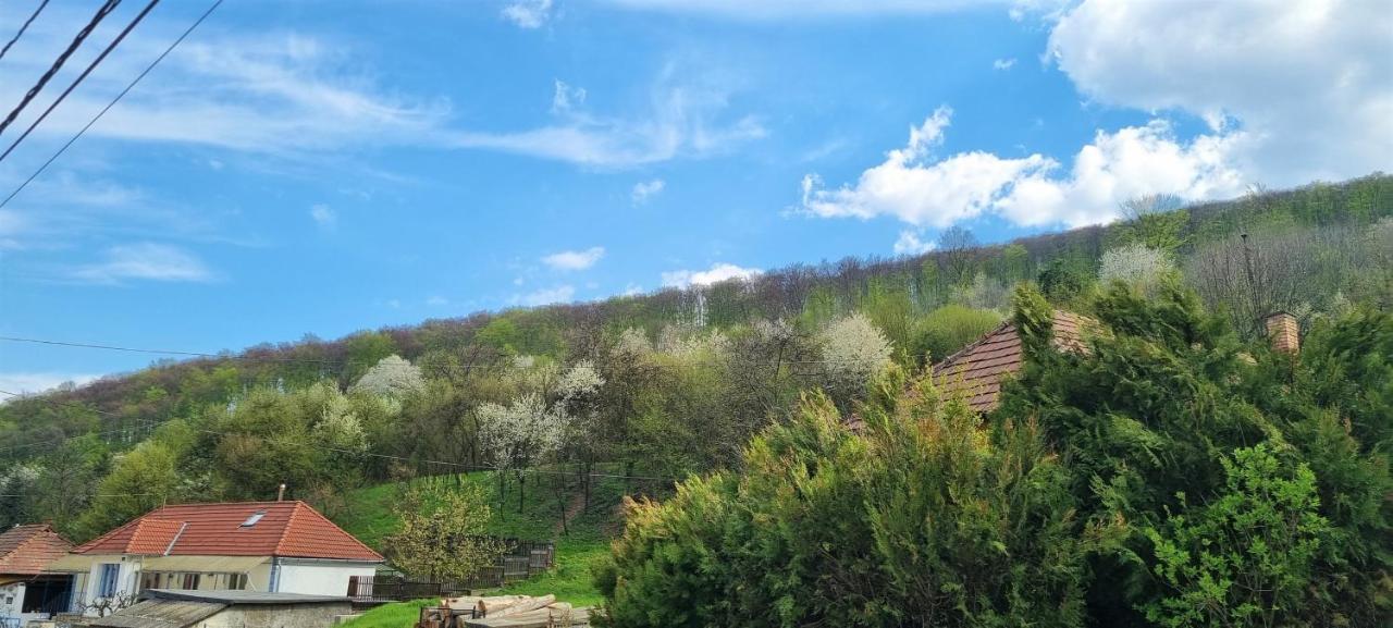 Hos-Cegledi Vendeghaz Miskolc -Oenallo Otthon, Mely Csak Az Oenoeke Zewnętrze zdjęcie